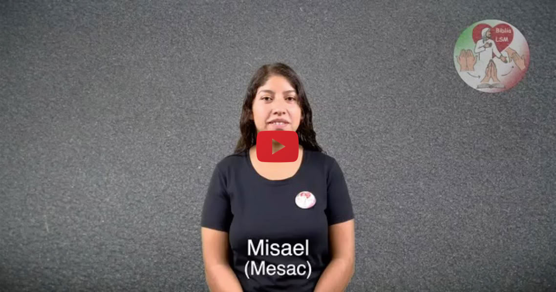 Reproducir video