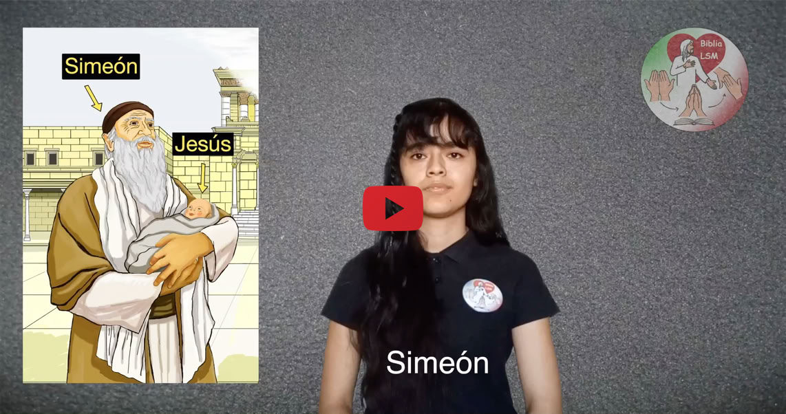 Reproducir video