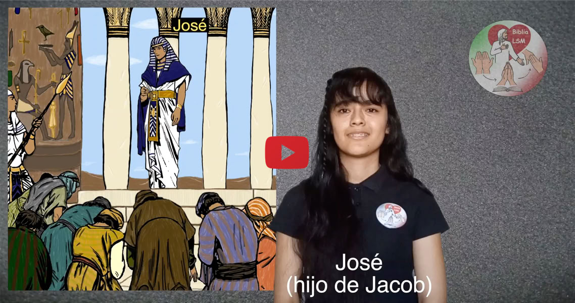 Reproducir video