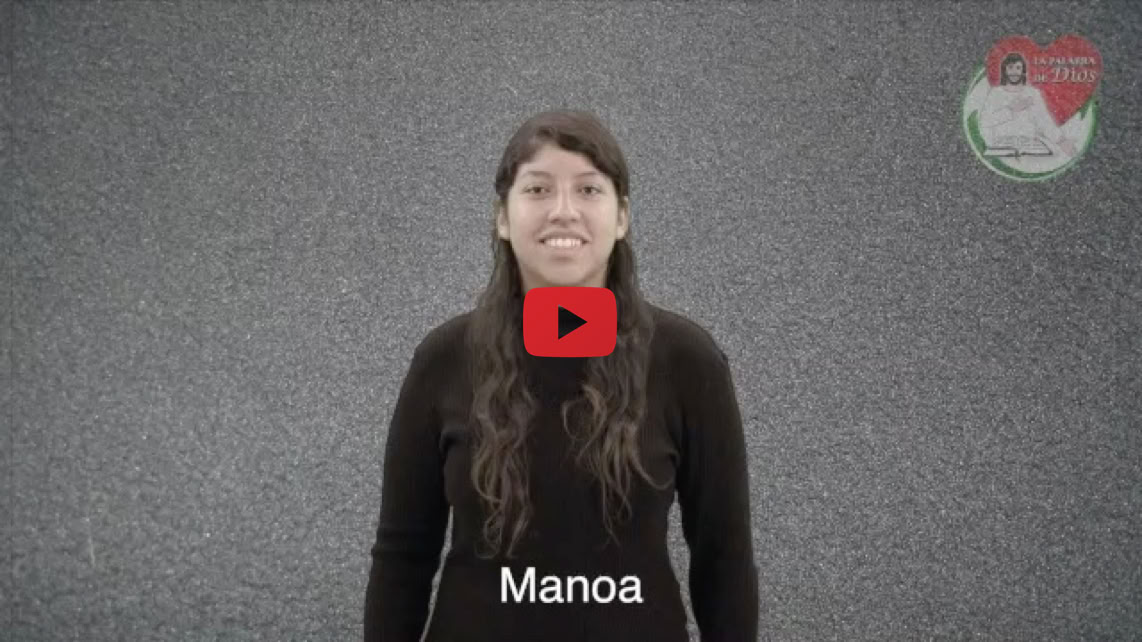 Reproducir video