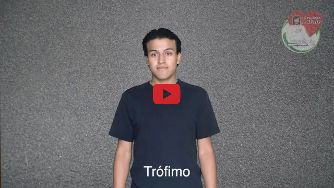 Reproducir video