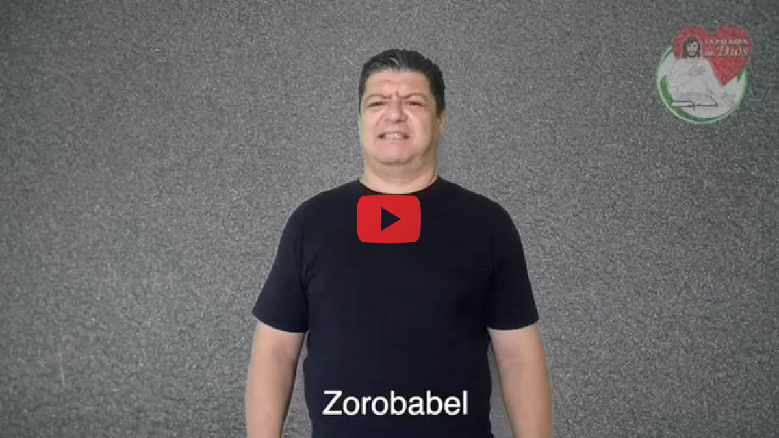 Reproducir video