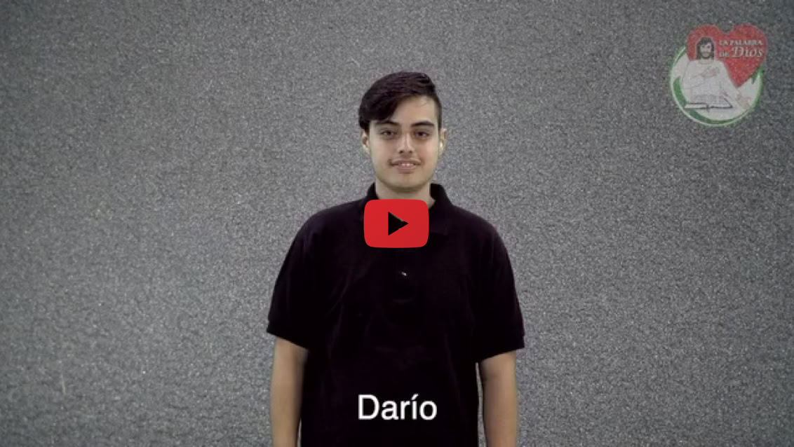 Reproducir video