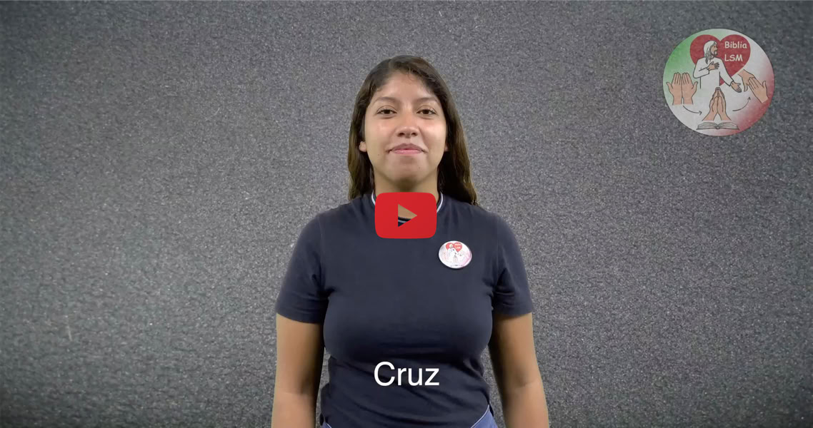 Reproducir video