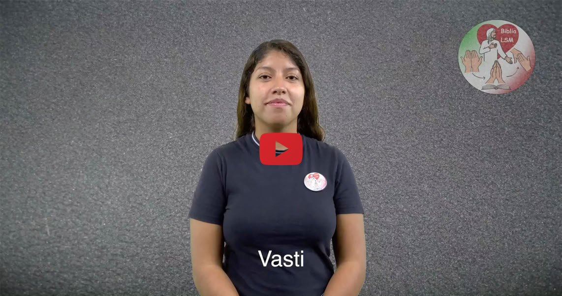 Reproducir video