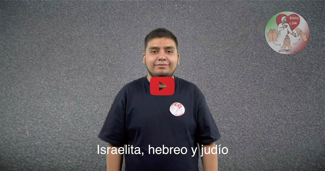 Reproducir video