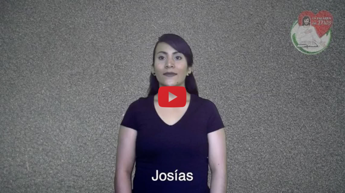 Reproducir video