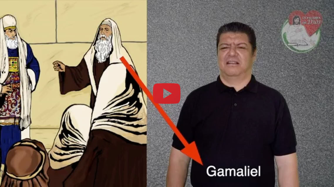 Reproducir video