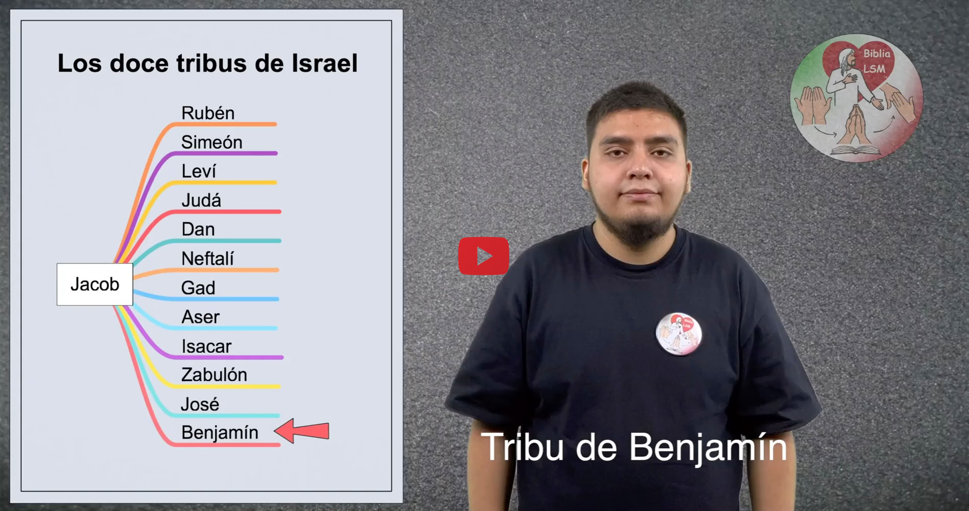 Reproducir video