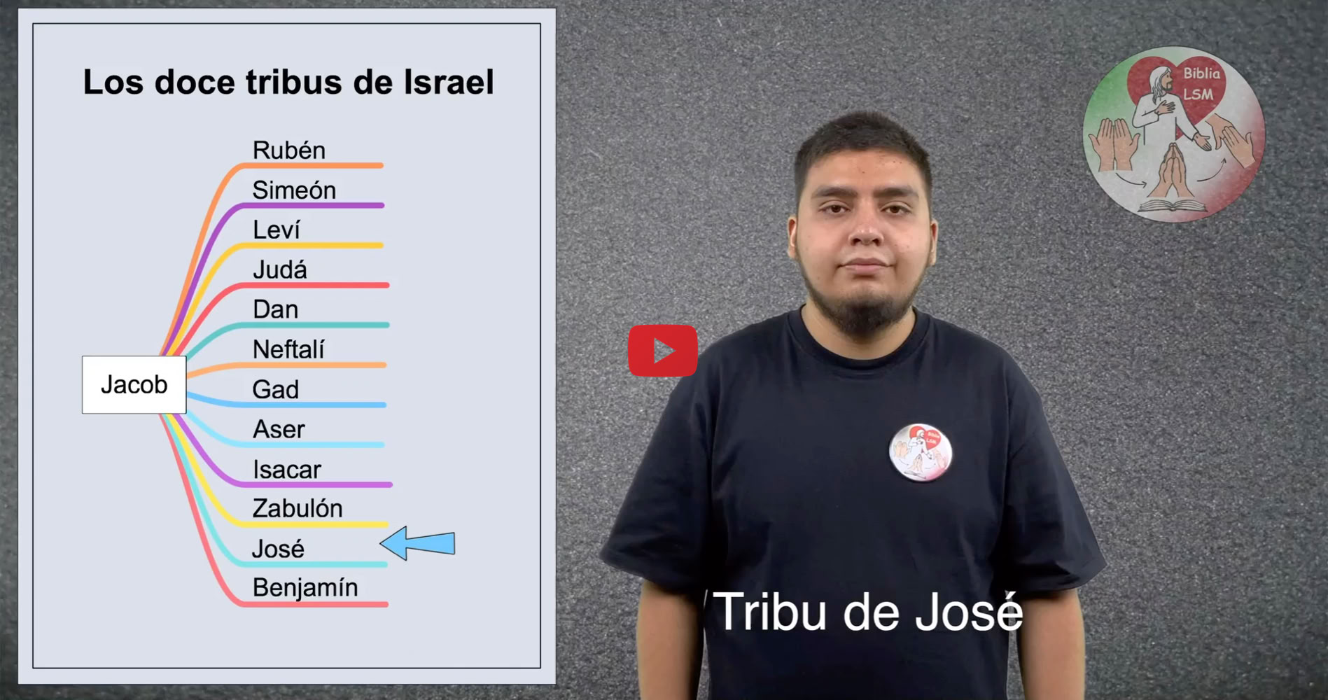 Reproducir video