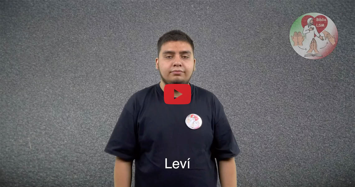 Reproducir video