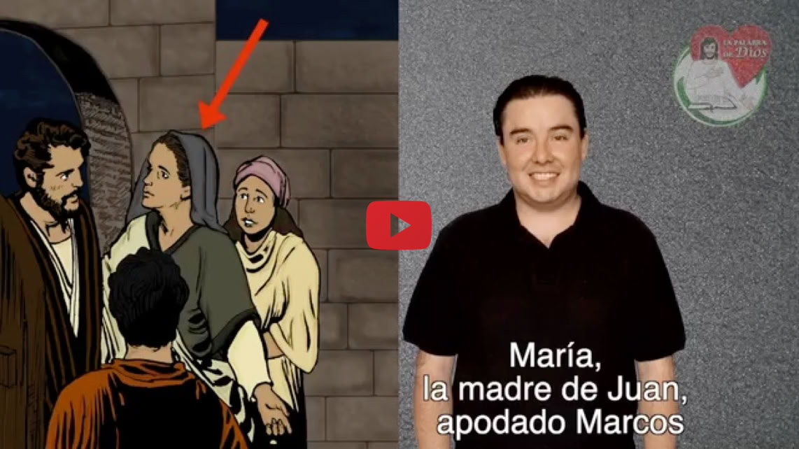 Reproducir video