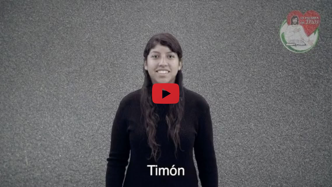 Reproducir video