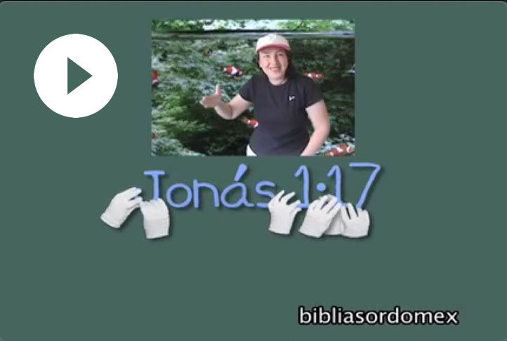 Reproducir video