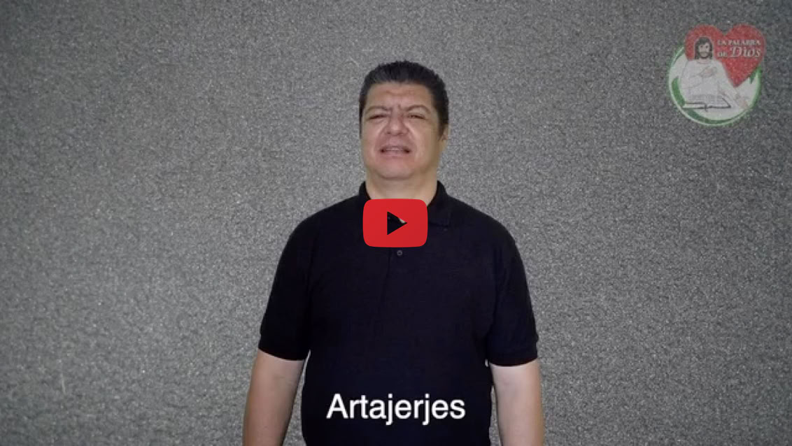 Reproducir video