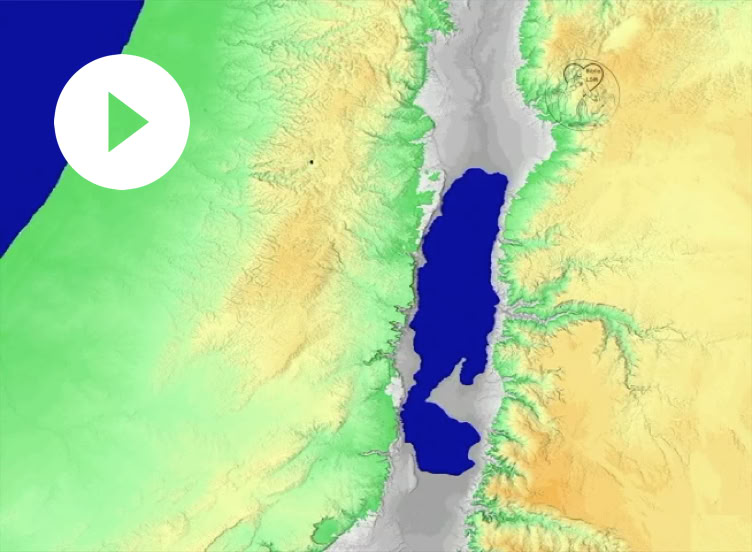 Reproducir video
