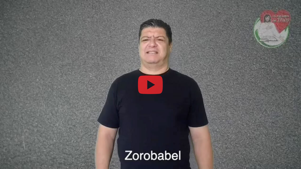 Reproducir video