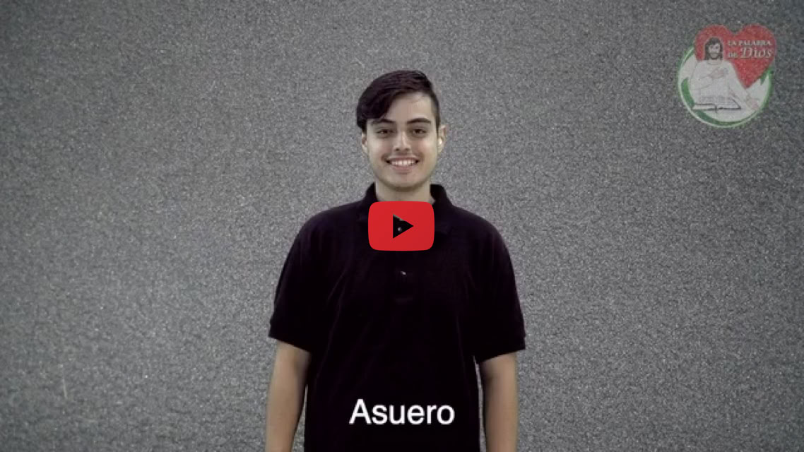 Reproducir video