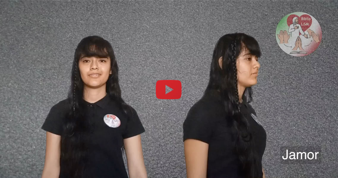 Reproducir video