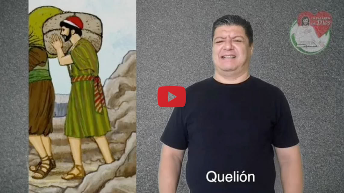 Reproducir video