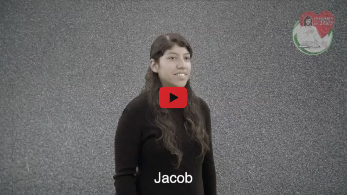 Reproducir video