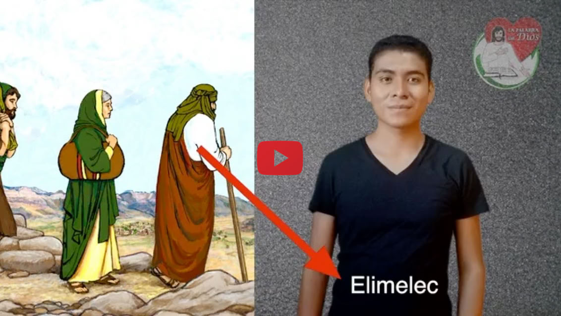 Reproducir video