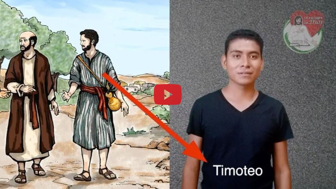 Reproducir video