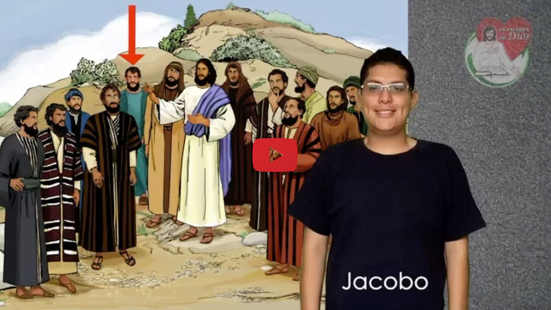 Reproducir video