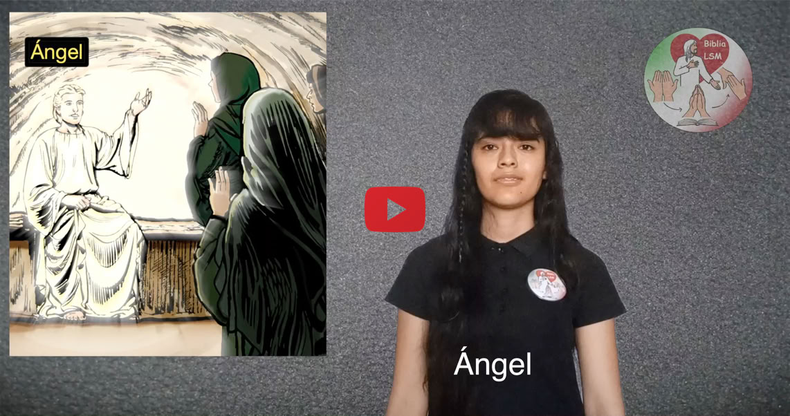 Reproducir video