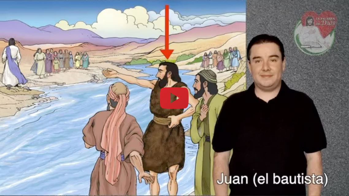 Reproducir video