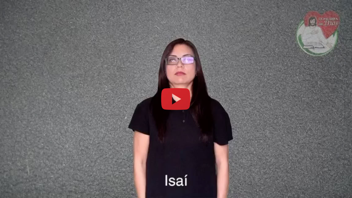 Reproducir video