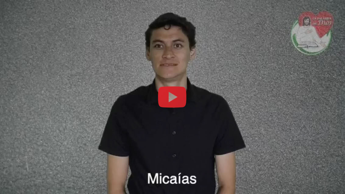 Reproducir video