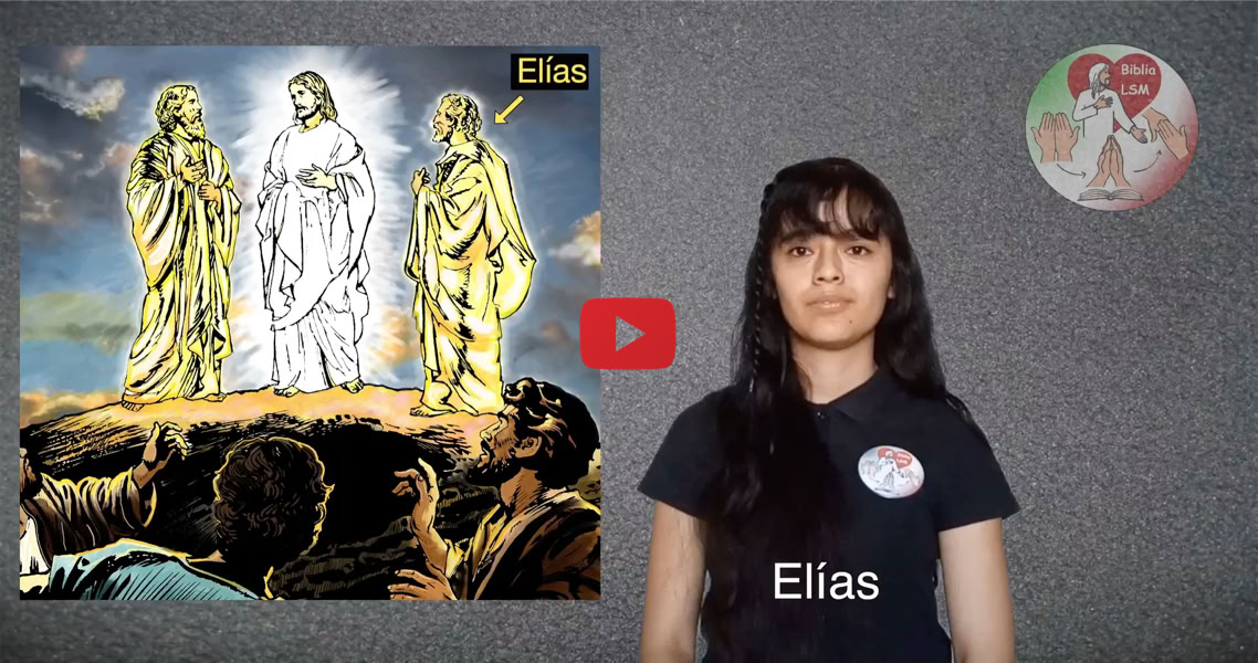 Reproducir video