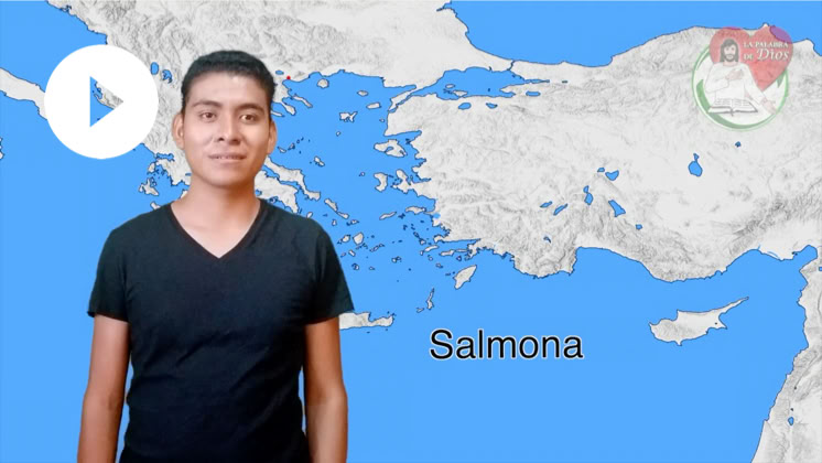 Reproducir video