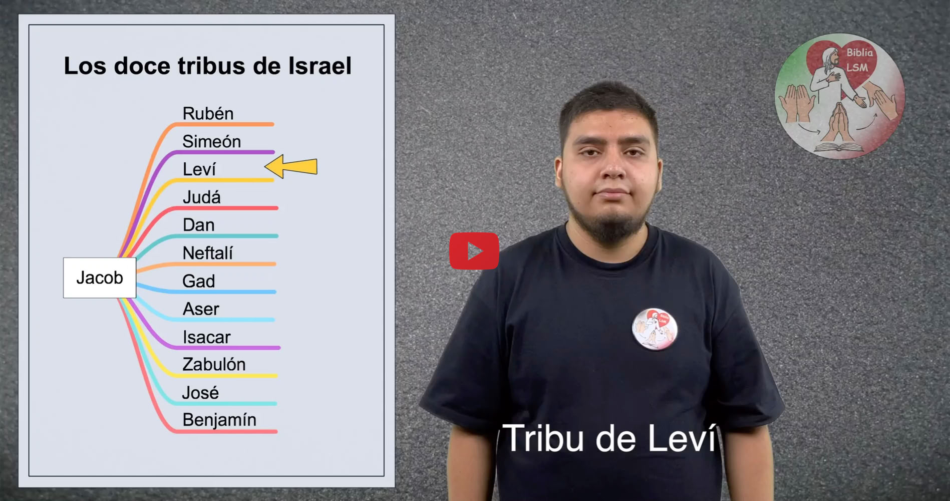 Reproducir video
