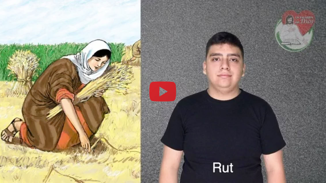 Reproducir video
