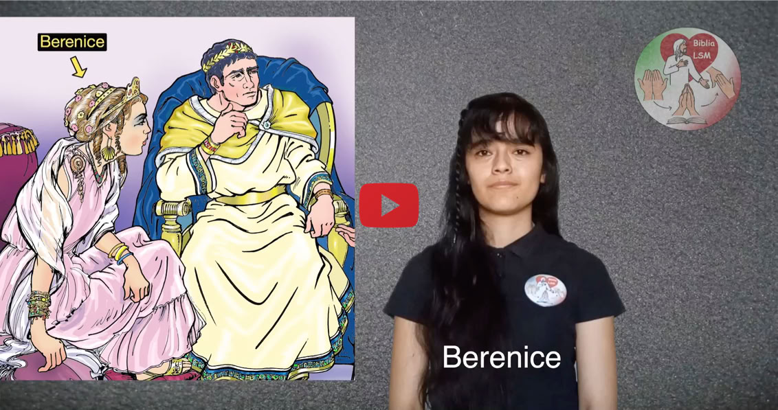 Reproducir video