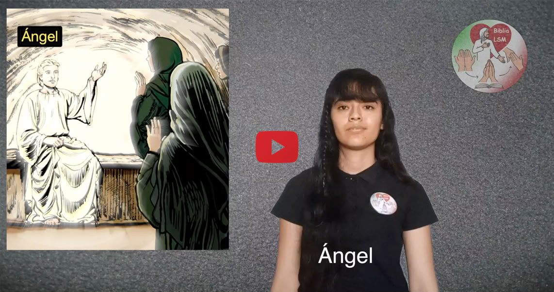 Reproducir video