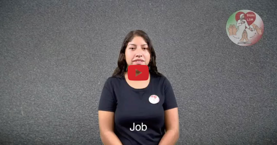 Reproducir video
