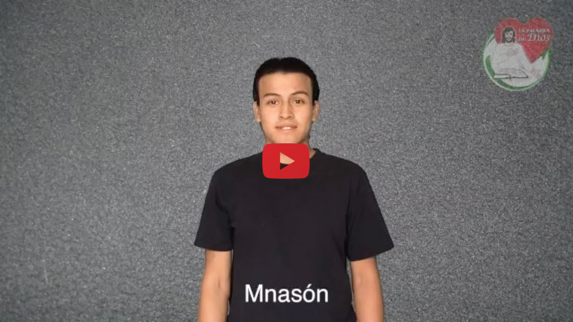 Reproducir video