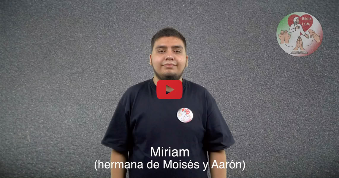 Reproducir video