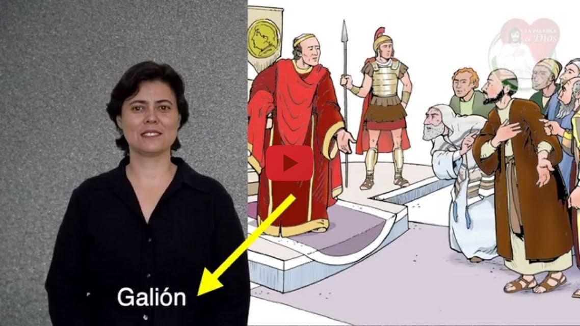 Reproducir video