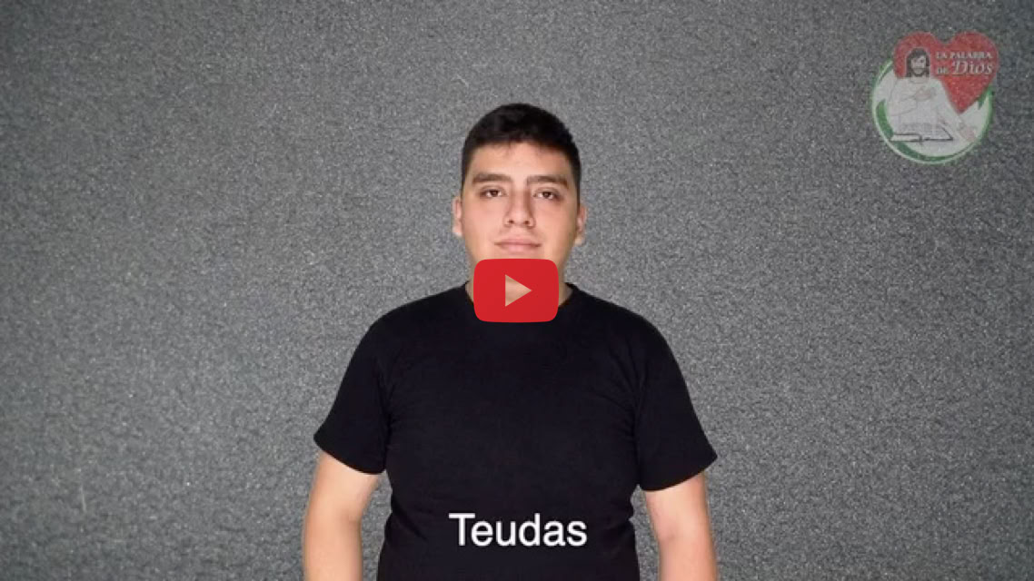 Reproducir video