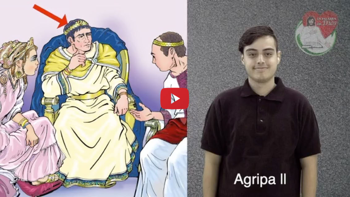 Reproducir video