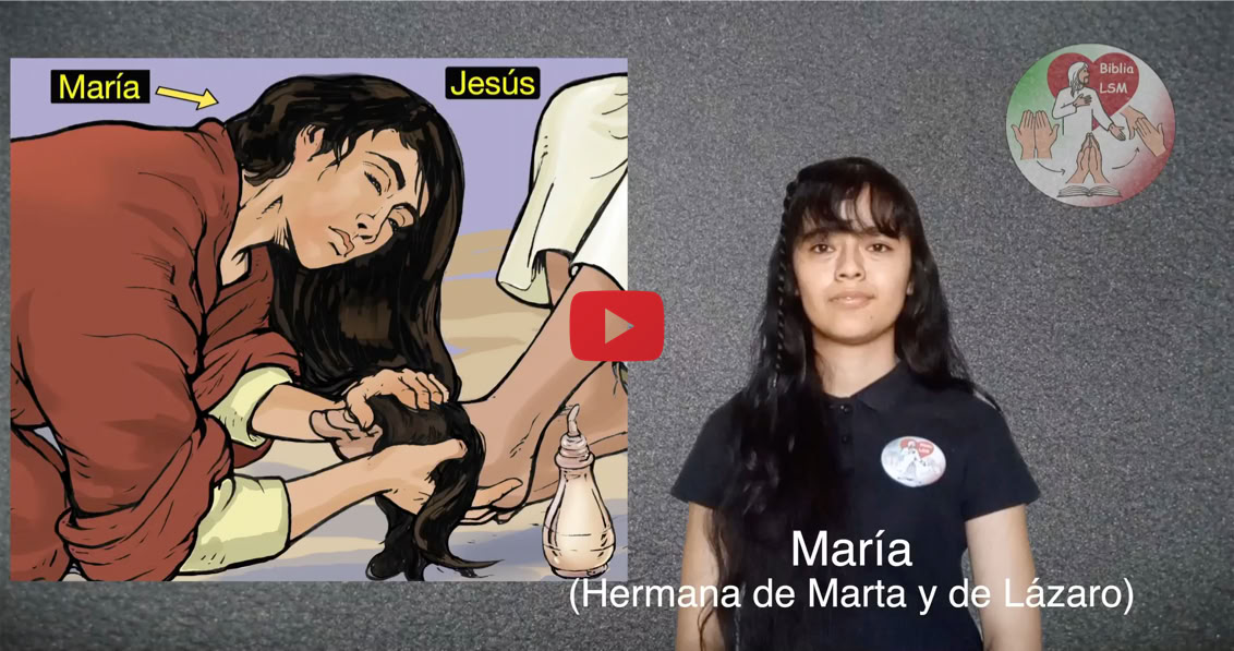 Reproducir video