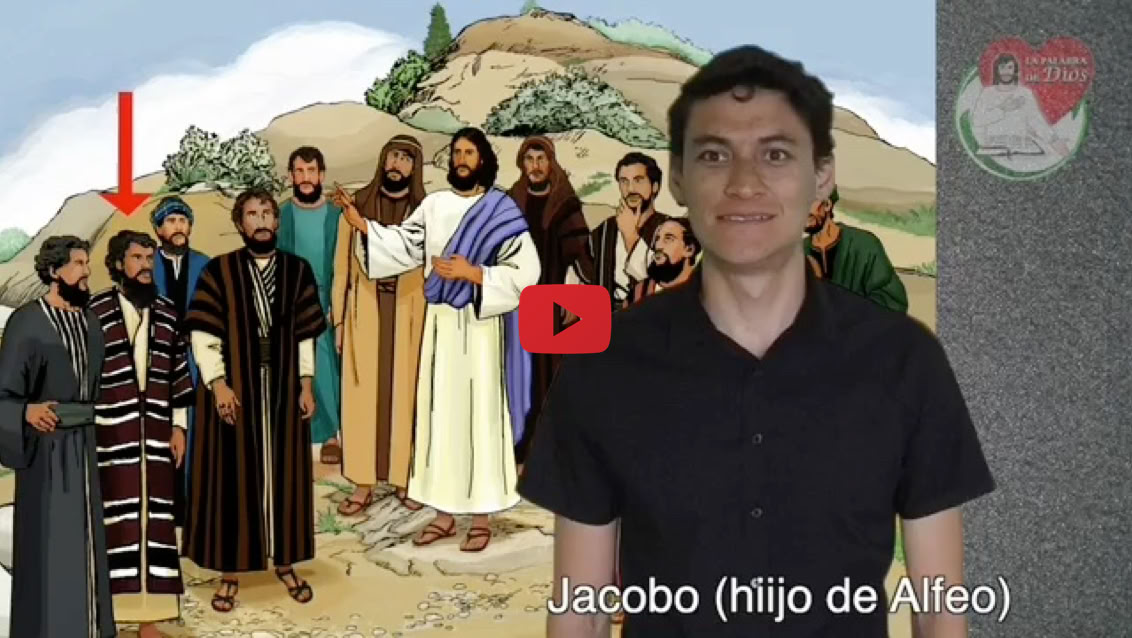 Reproducir video