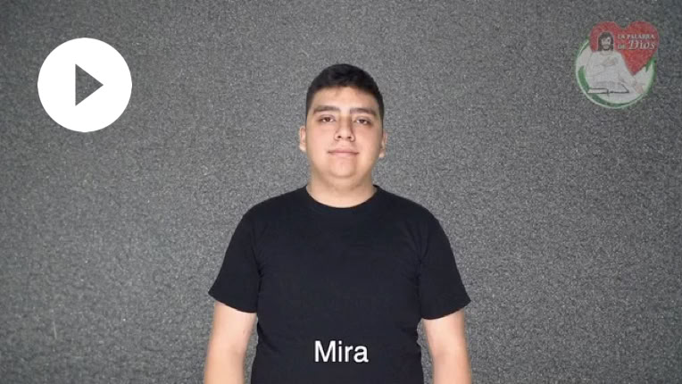Reproducir video