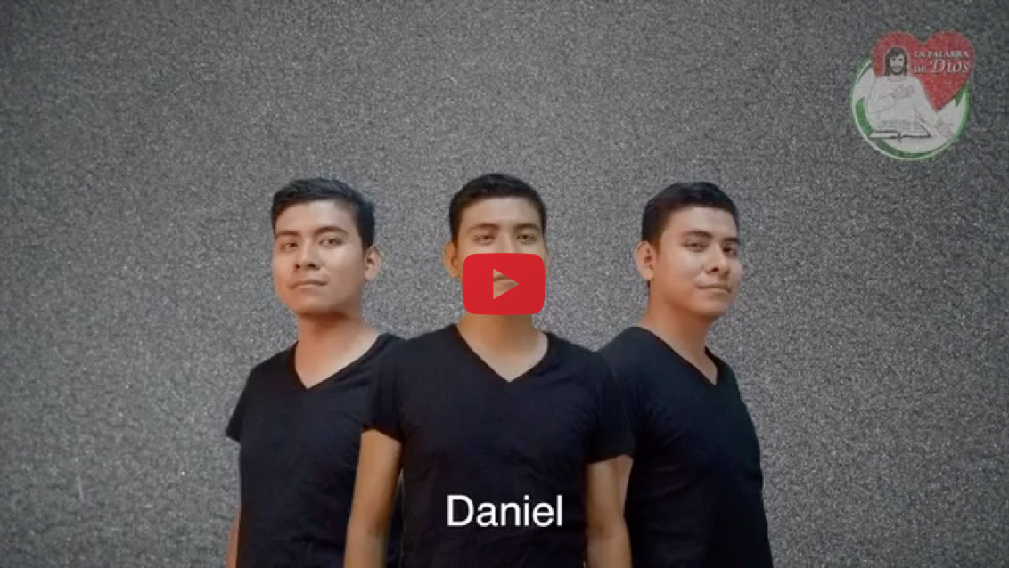 Reproducir video