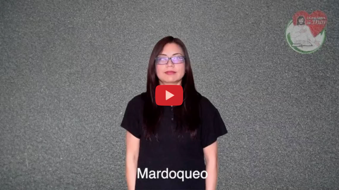 Reproducir video