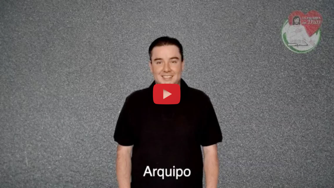 Reproducir video